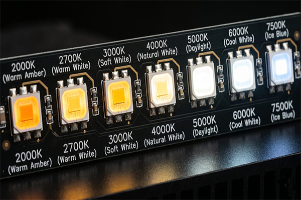 LED chips showing different color temperatures